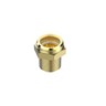 Sight glass socket, SGR, 1/2 in, NPT 视力玻璃插座,SGR,1/2英寸,NPT