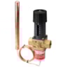 AVTB-RA, 1/2# NPT BRASS TEMP REGULATOR COOLING, AVTB-RA 1/2 # NPT铜冷却,温度调节器