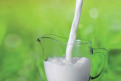 奶牛-poring牛奶-Danfos