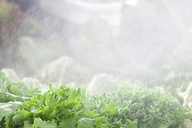 hashruckpumpenfur死贝富图vondfos