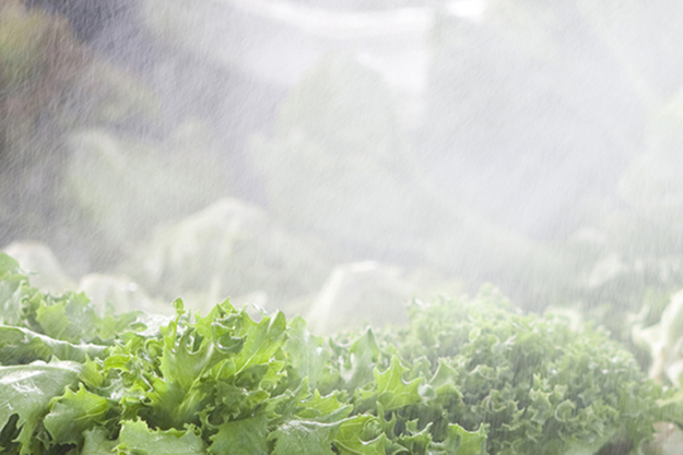 hashruckpumpenfur死贝富图vondfos