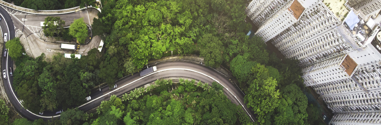 与公园的城市景观